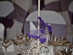 Plum Chair Sashes